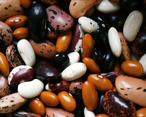 Different types of dried beans and legumes in sacks